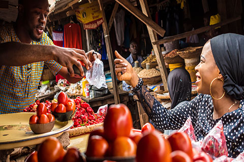 This is a stock photo. A woman buying tomatoes at a market.